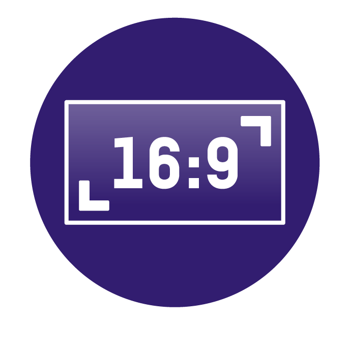 Icon 16-9-1