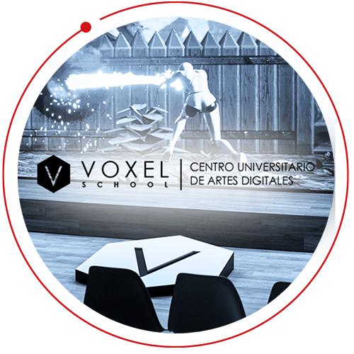 voxel_hik
